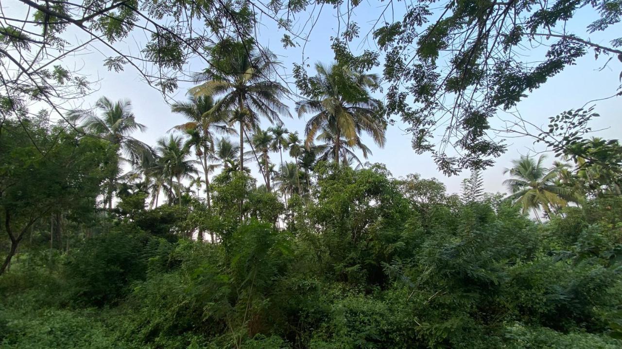 Lermitage Farms Kashid Alibaug Villa Exterior photo